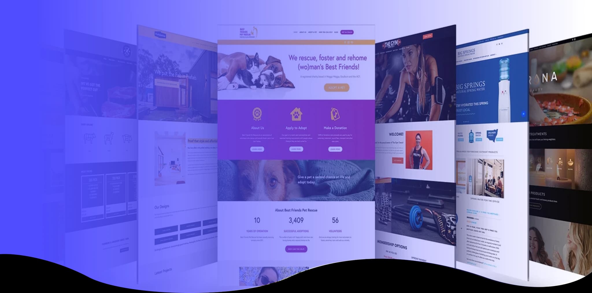 Website Development Services